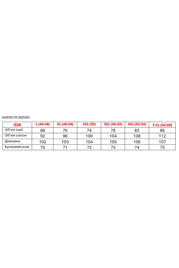 Брюки жіночі класичні 52-54 чорні (026XXXXL) - фото 11