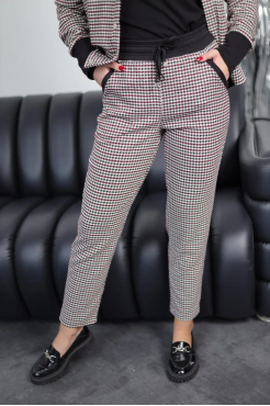 Брюки жіночі 52-54 гусяча лапка (2727XXL) - фото 1